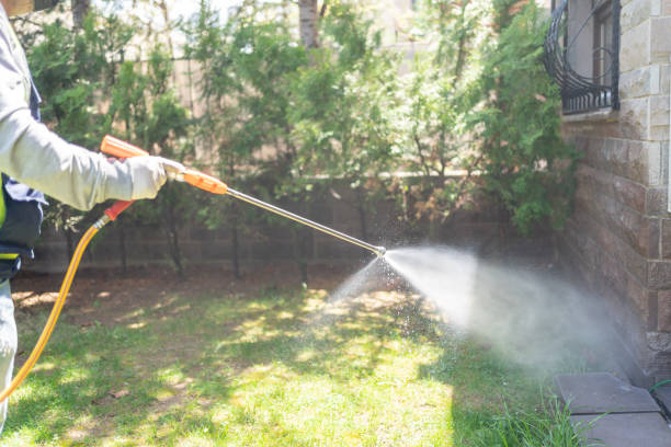 Seasonal Pest Control (e.g., summer mosquitoes, winter rodents) in Voorheesville, NY